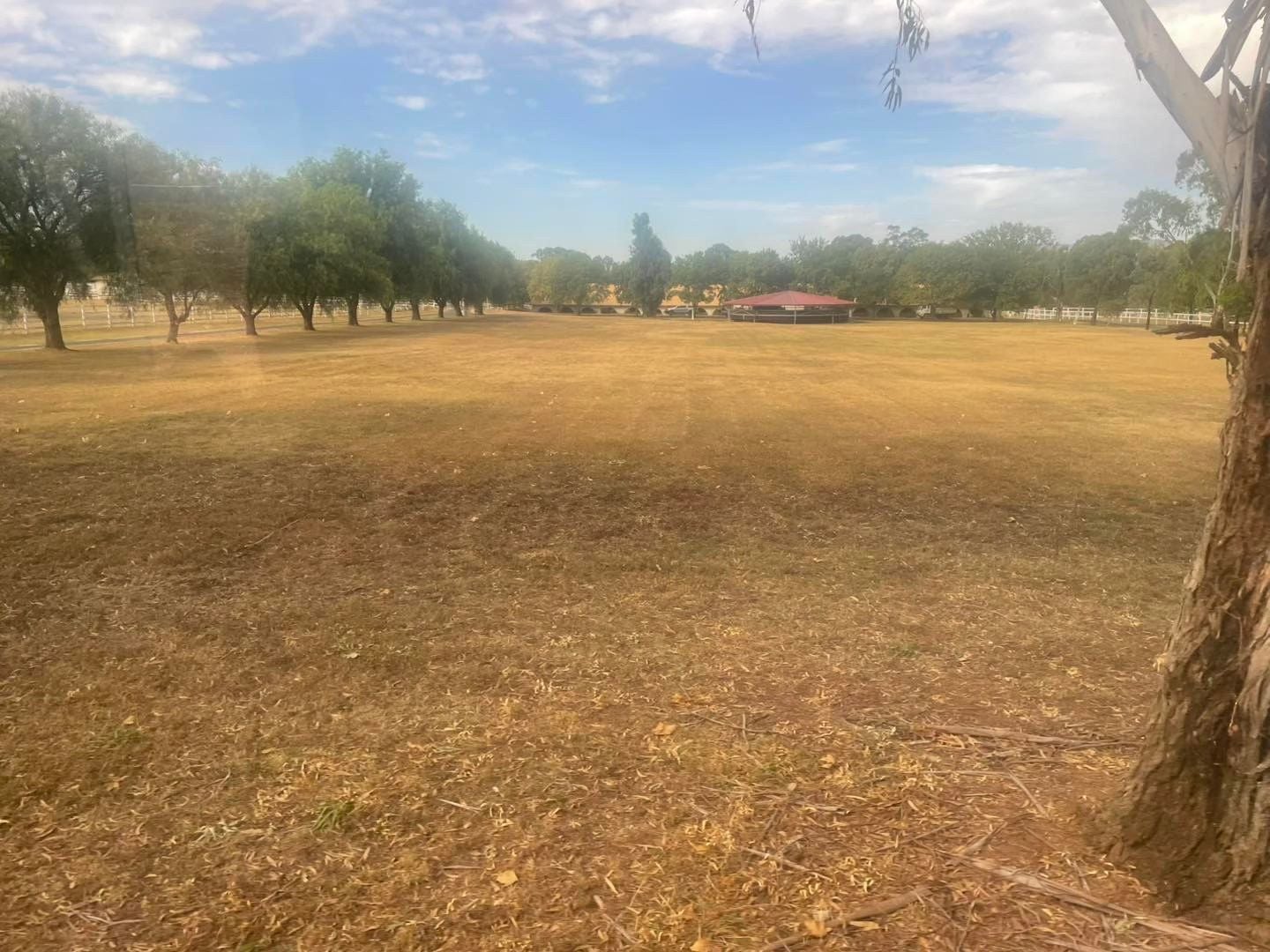 Dubbo Zoo 2025 Image -67de04b18e967